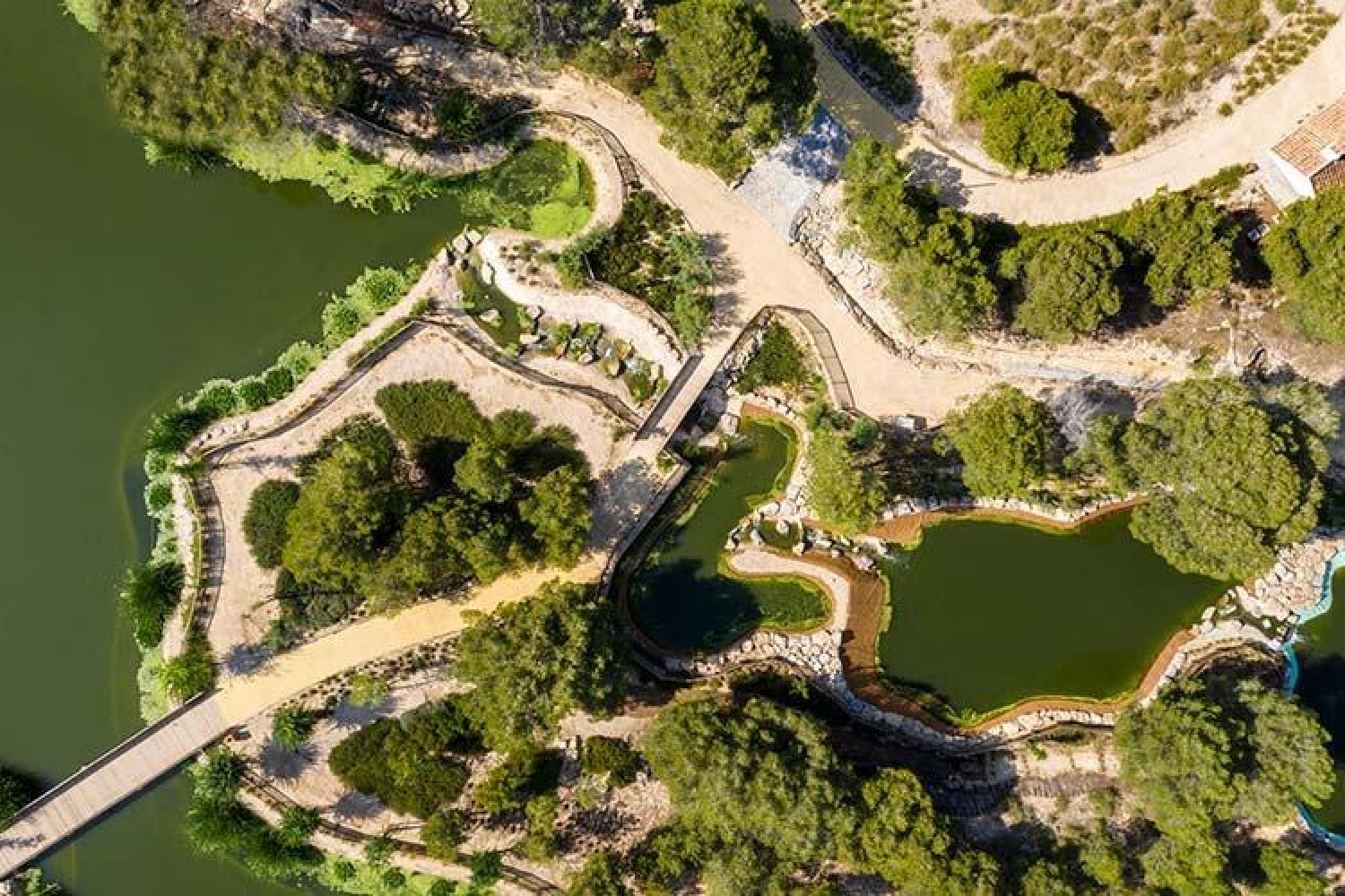  till salu villa Daya Vieja Baix Segura 19