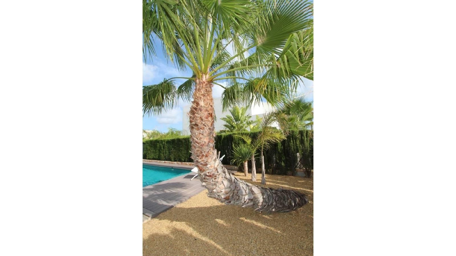  till salu villa Ciudad Quesada Baix Segura 8