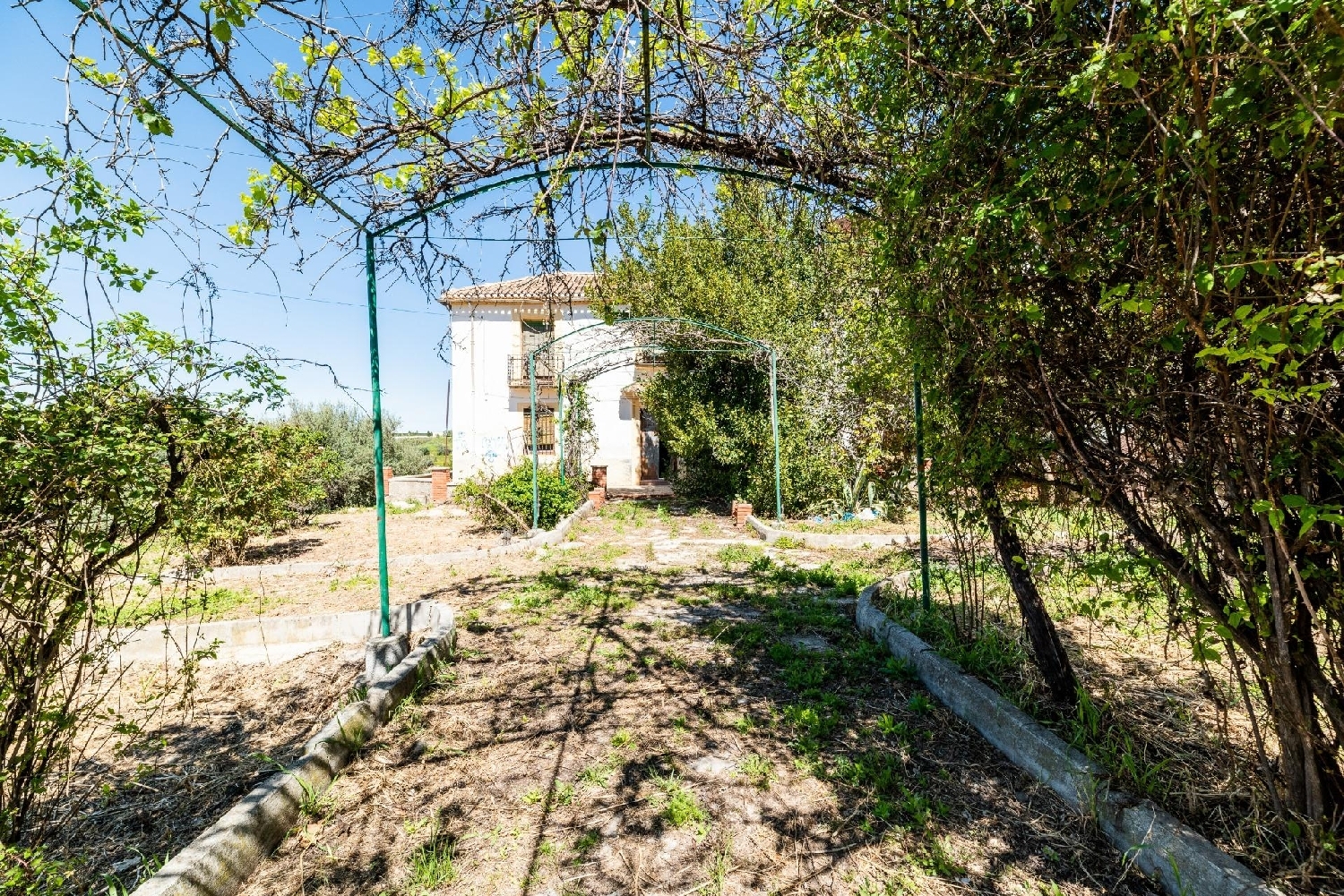 till salu villa Cogollos Vega Vega De Granada 3