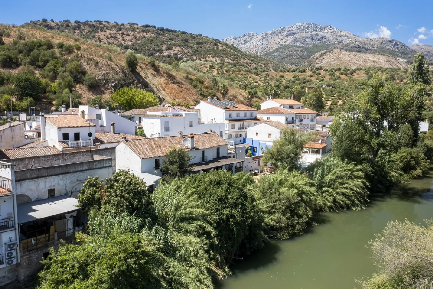 till salu villa Cortes De La Frontera Serranía De Ronda 2