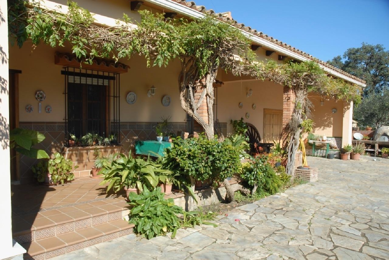 till salu villa Cortijillos Campo De Gibraltar 4
