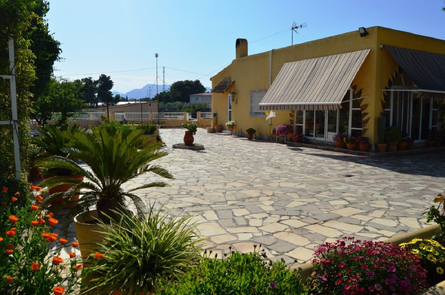  till salu villa Crevillent Baix Vinalopó 6