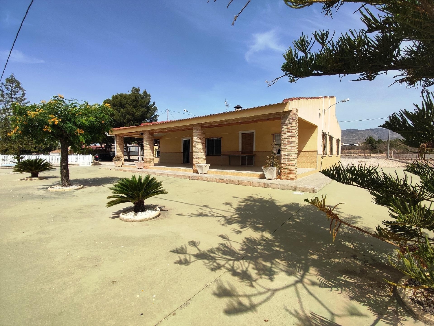  till salu villa Crevillent Baix Vinalopó 1