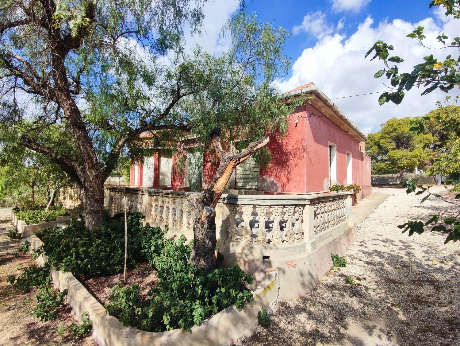  till salu villa Crevillent Baix Vinalopó 1