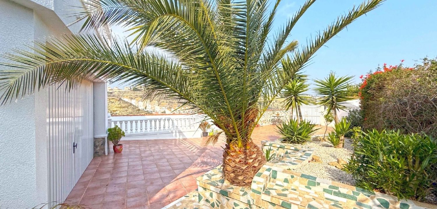 till salu villa Daya Vieja Baix Segura 3