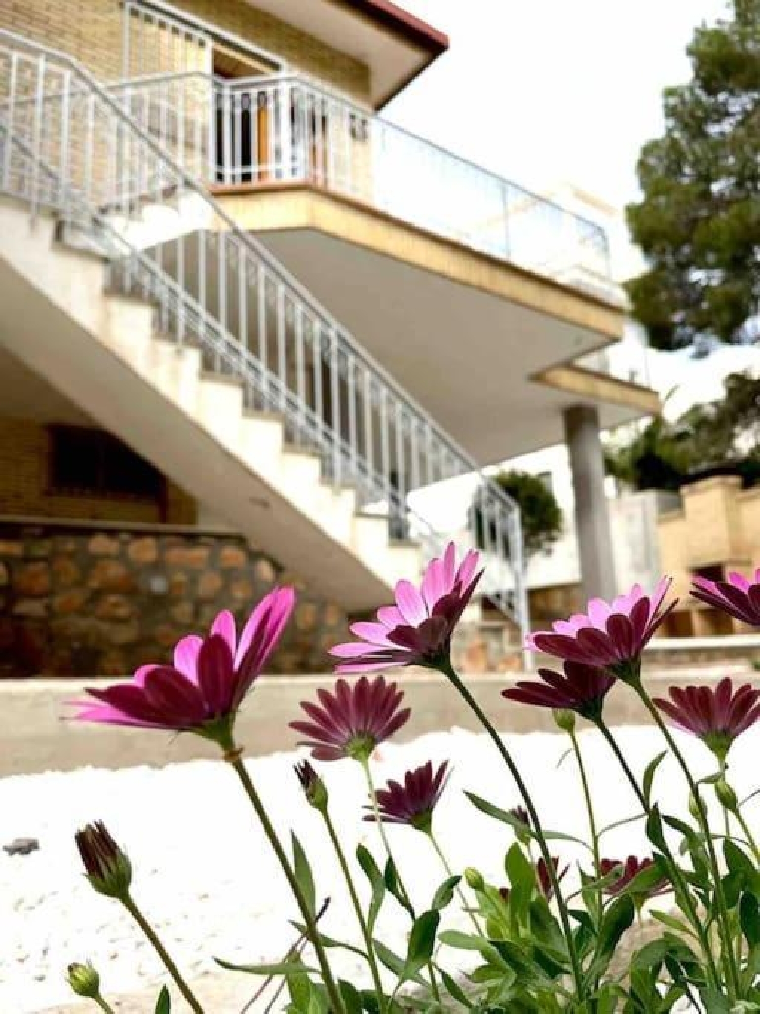  till salu villa Dehesa De Campoamor Baix Segura 5