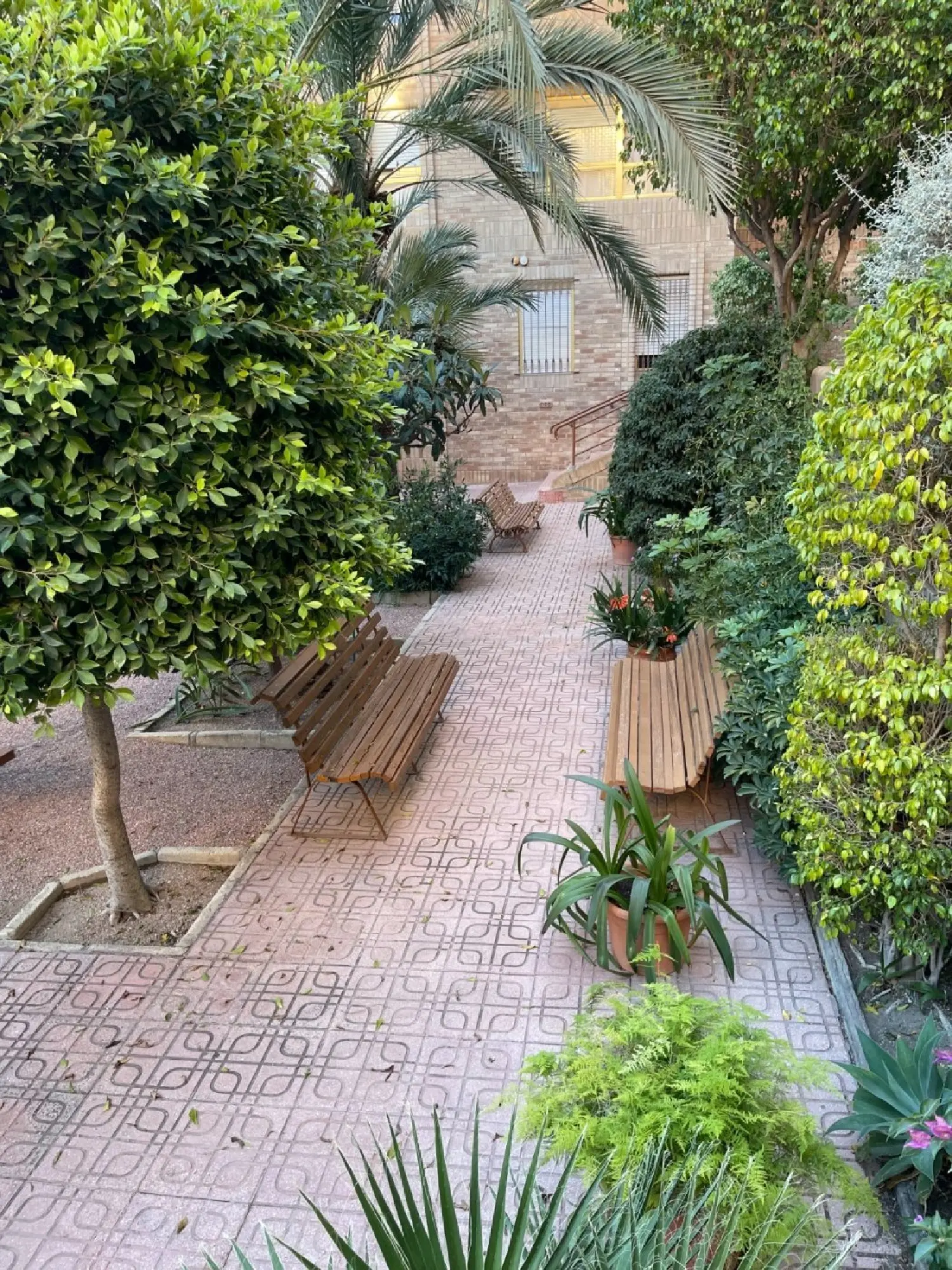 till salu villa Barrio De Los Dolores Baix Segura 2