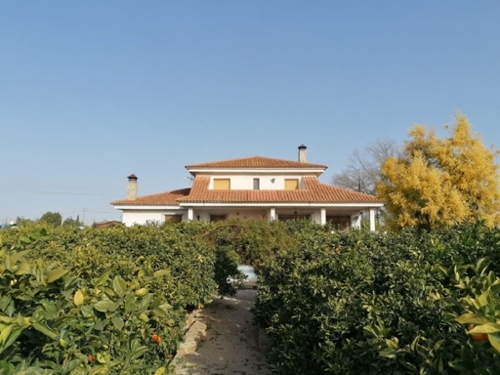El Carmen Huerta De Murcia villa foto 6223205