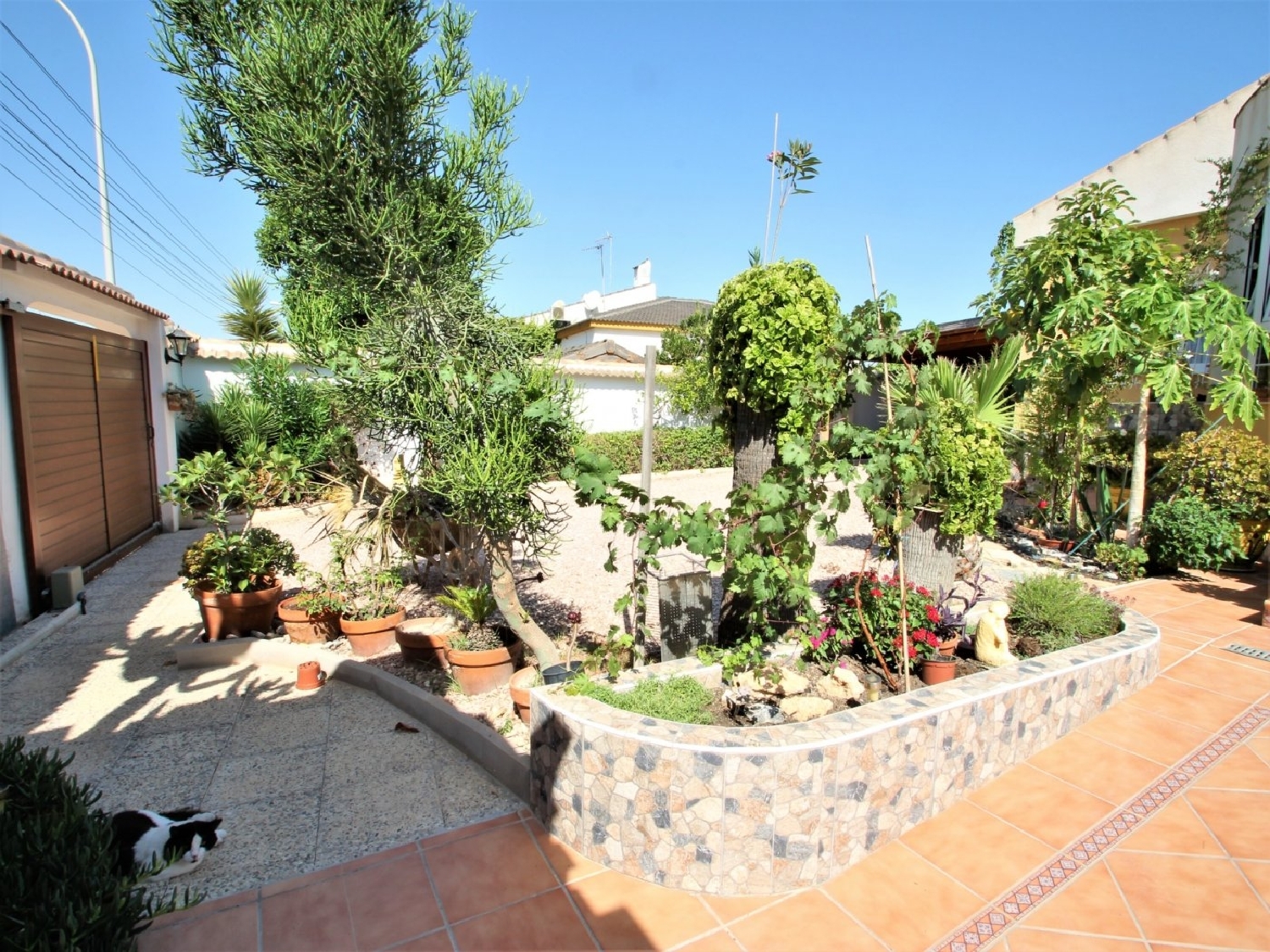  till salu villa El Chaparral Baix Segura 4