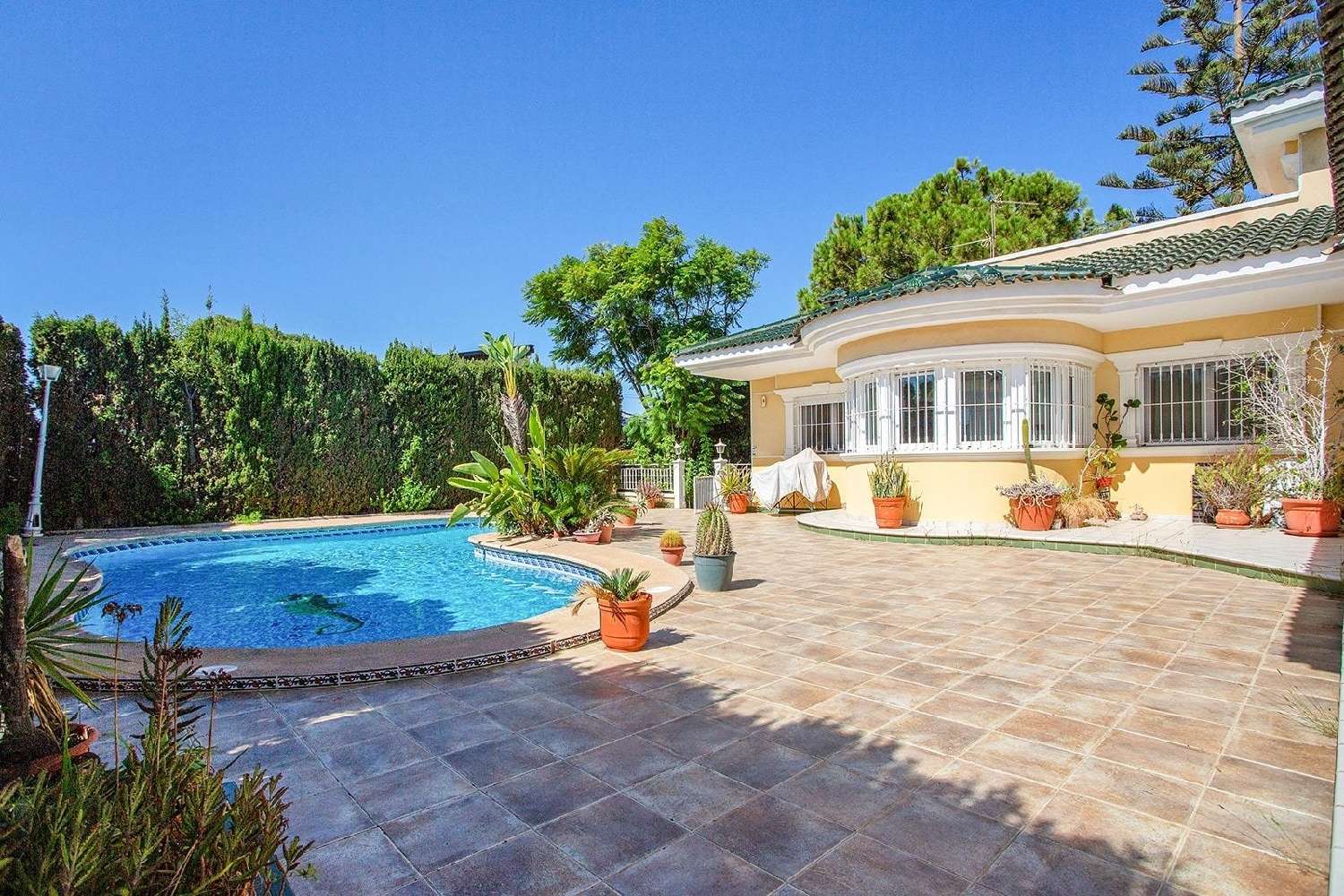  till salu villa El Chaparral Baix Segura 2