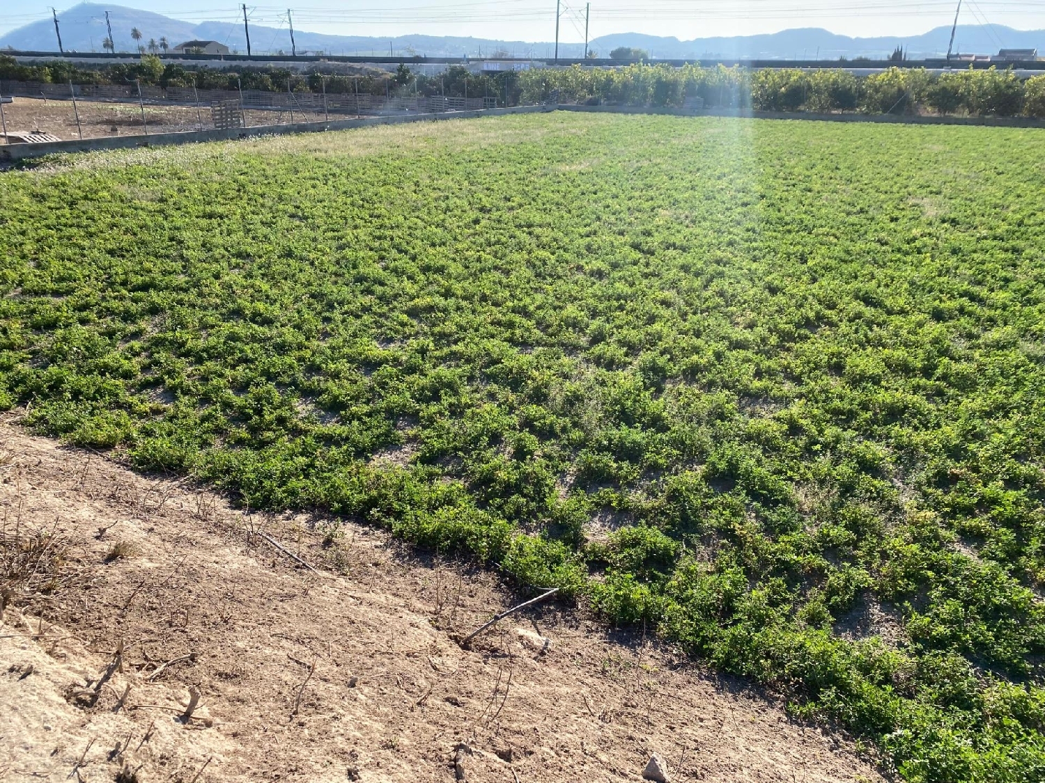  till salu villa El Mojón Huerta De Murcia 4