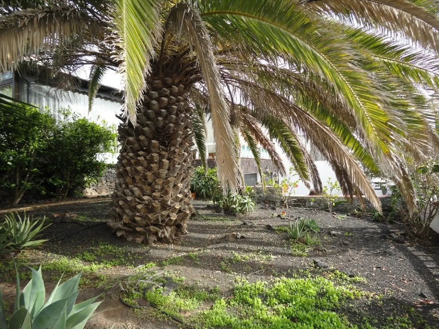  till salu villa El Mojón Lanzarote 8