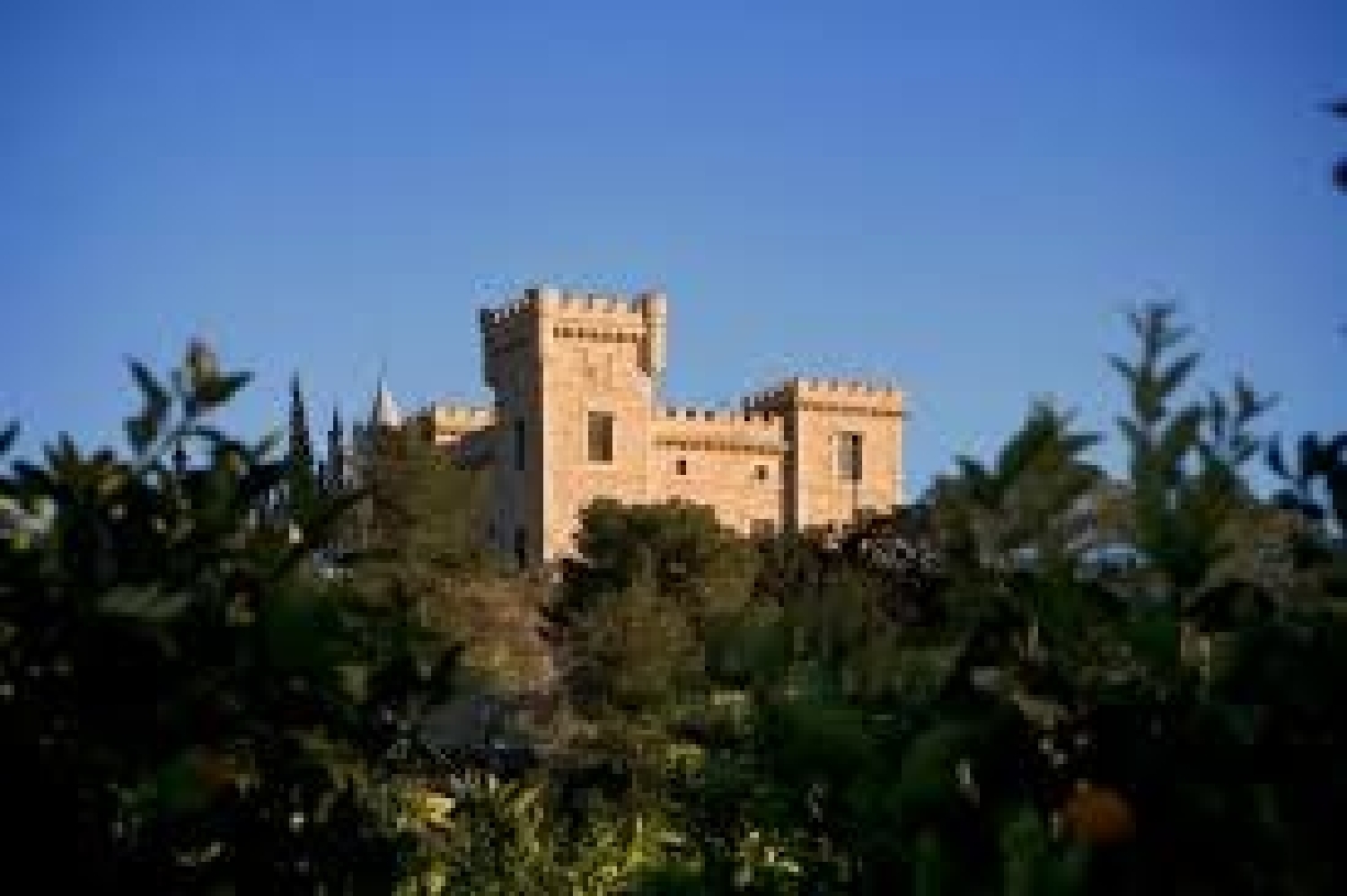  till salu villa La Rellana Baix Segura 17