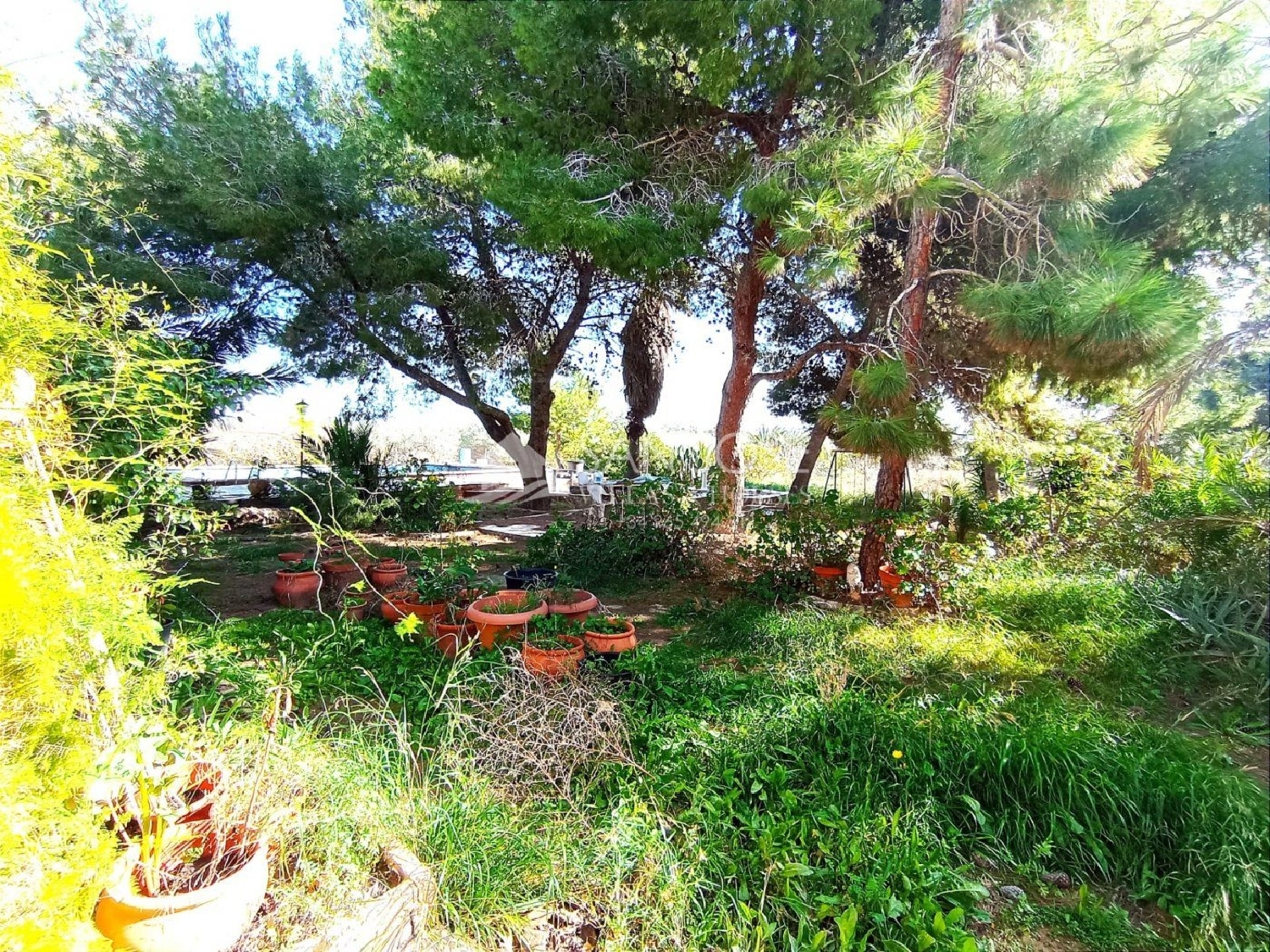  till salu villa Els Bassars Baix Vinalopó 4
