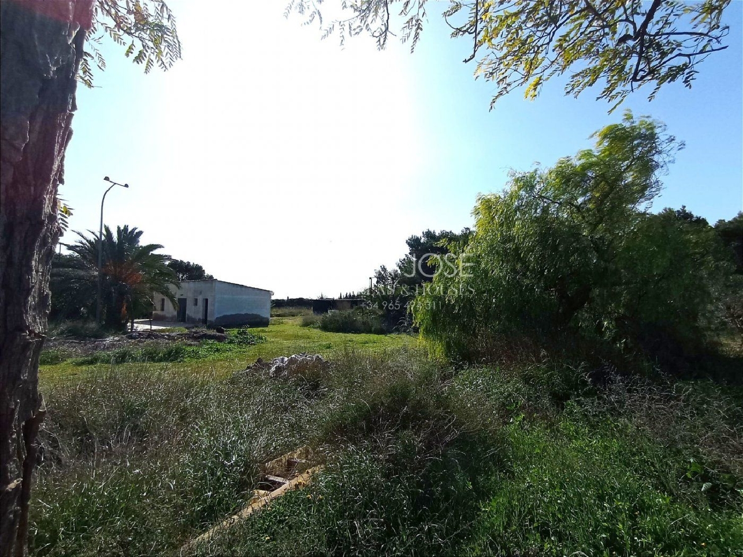  till salu villa Els Bassars Baix Vinalopó 6