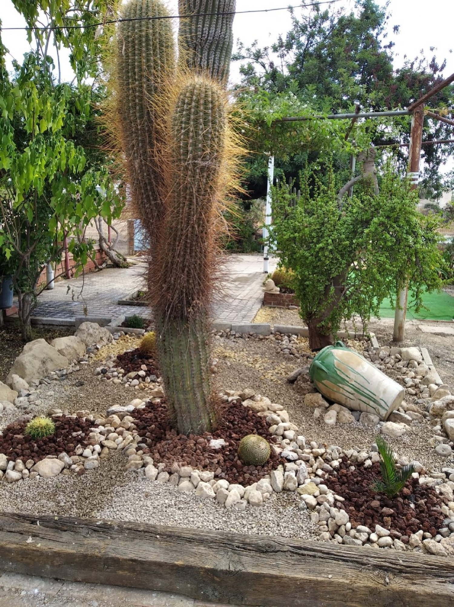 till salu villa Elche Pla Sur Baix Vinalopó 5