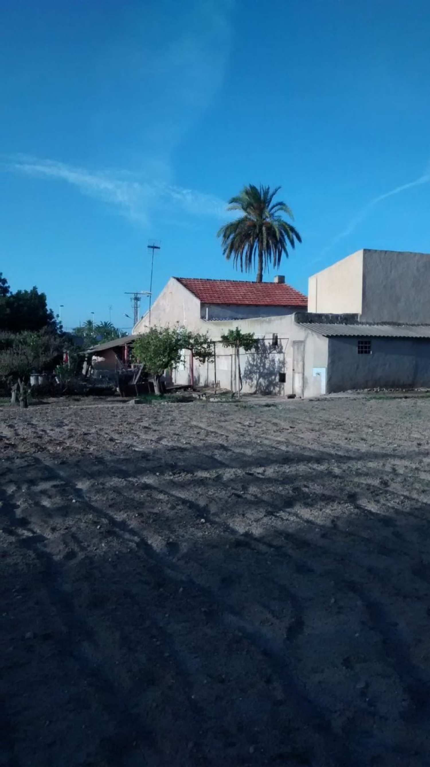 till salu villa Elche Pla Sur Baix Vinalopó 2