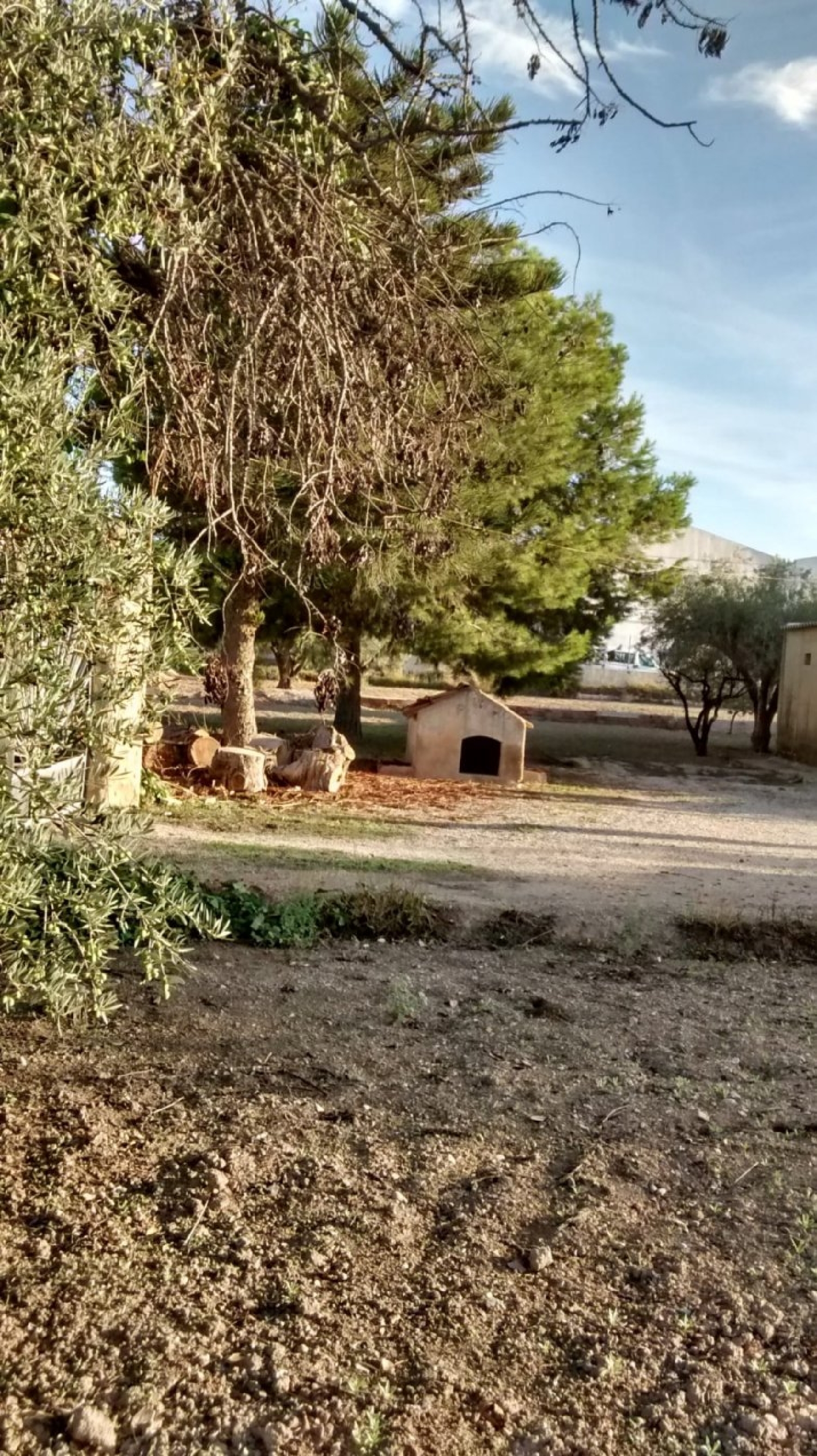  till salu villa Elche Pla Sur Baix Vinalopó 8