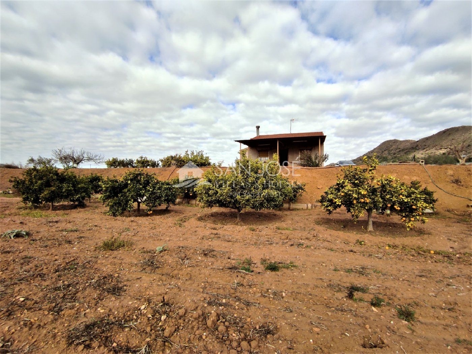  till salu villa Els Montesinos Vinalopó Mitjà 5