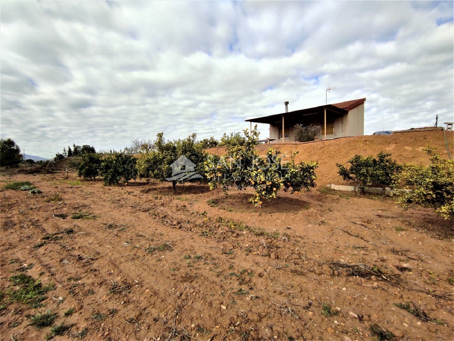  till salu villa Els Montesinos Vinalopó Mitjà 8