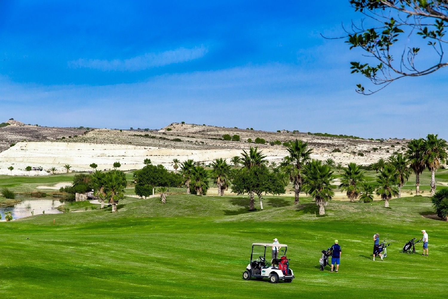  till salu villa Entrenaranjos Baix Segura 6