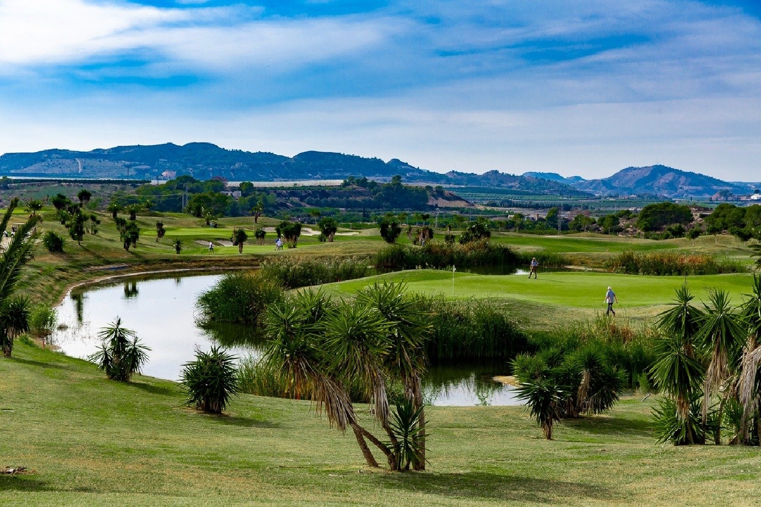  till salu villa Entrenaranjos Baix Segura 8