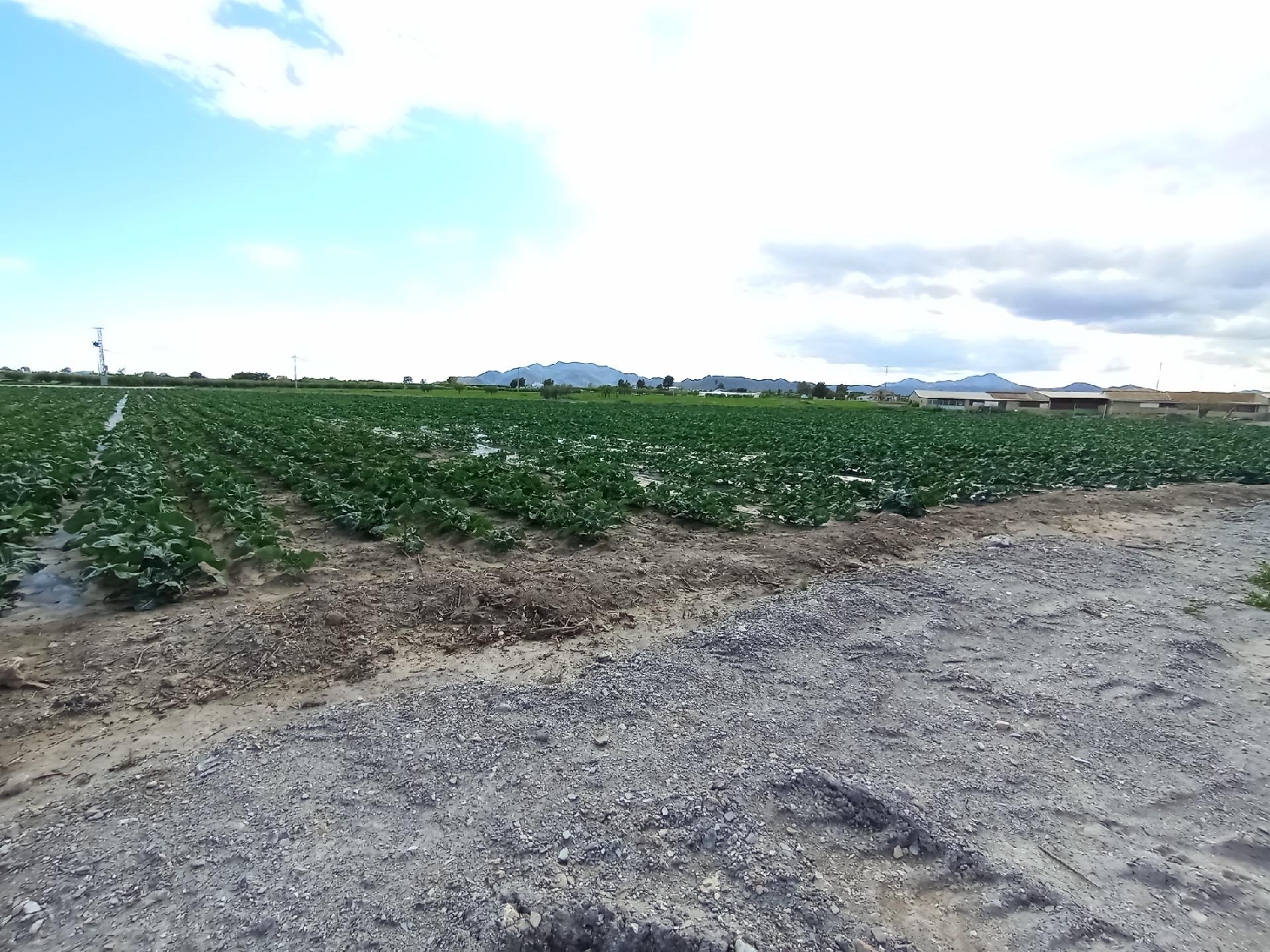  till salu villa Esparragal Huerta De Murcia 6