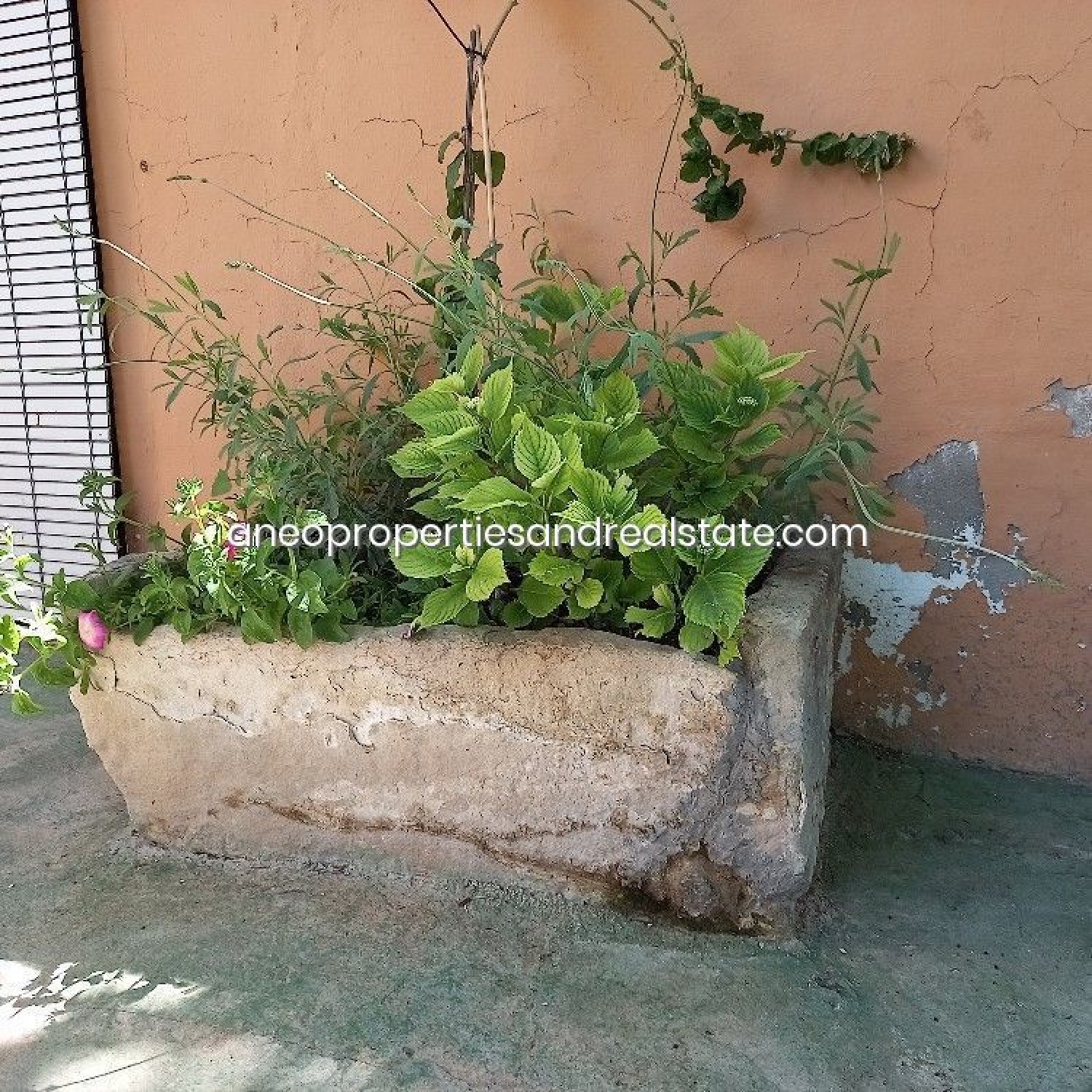  till salu villa Fondó Vinalopó Mitjà 7