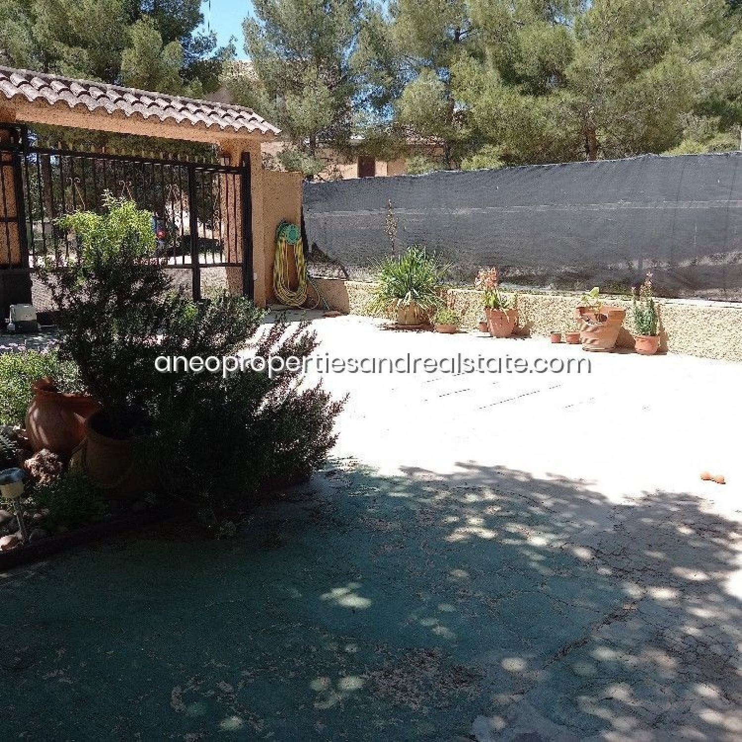  till salu villa Fondó Vinalopó Mitjà 5