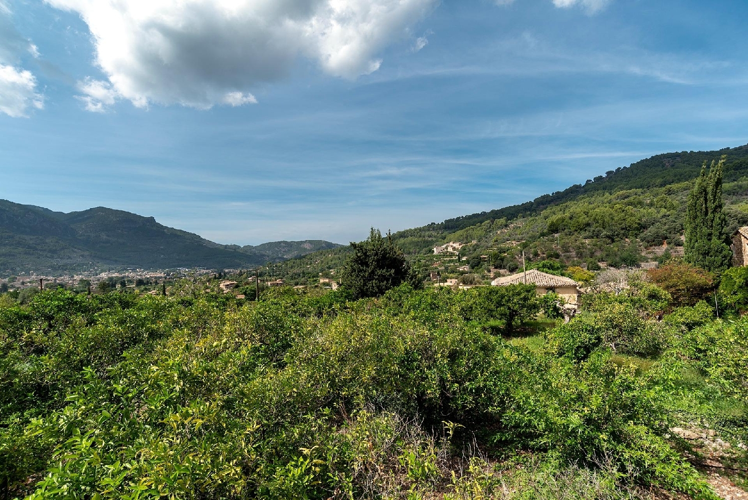  till salu villa Fornalutx Tramuntana 5