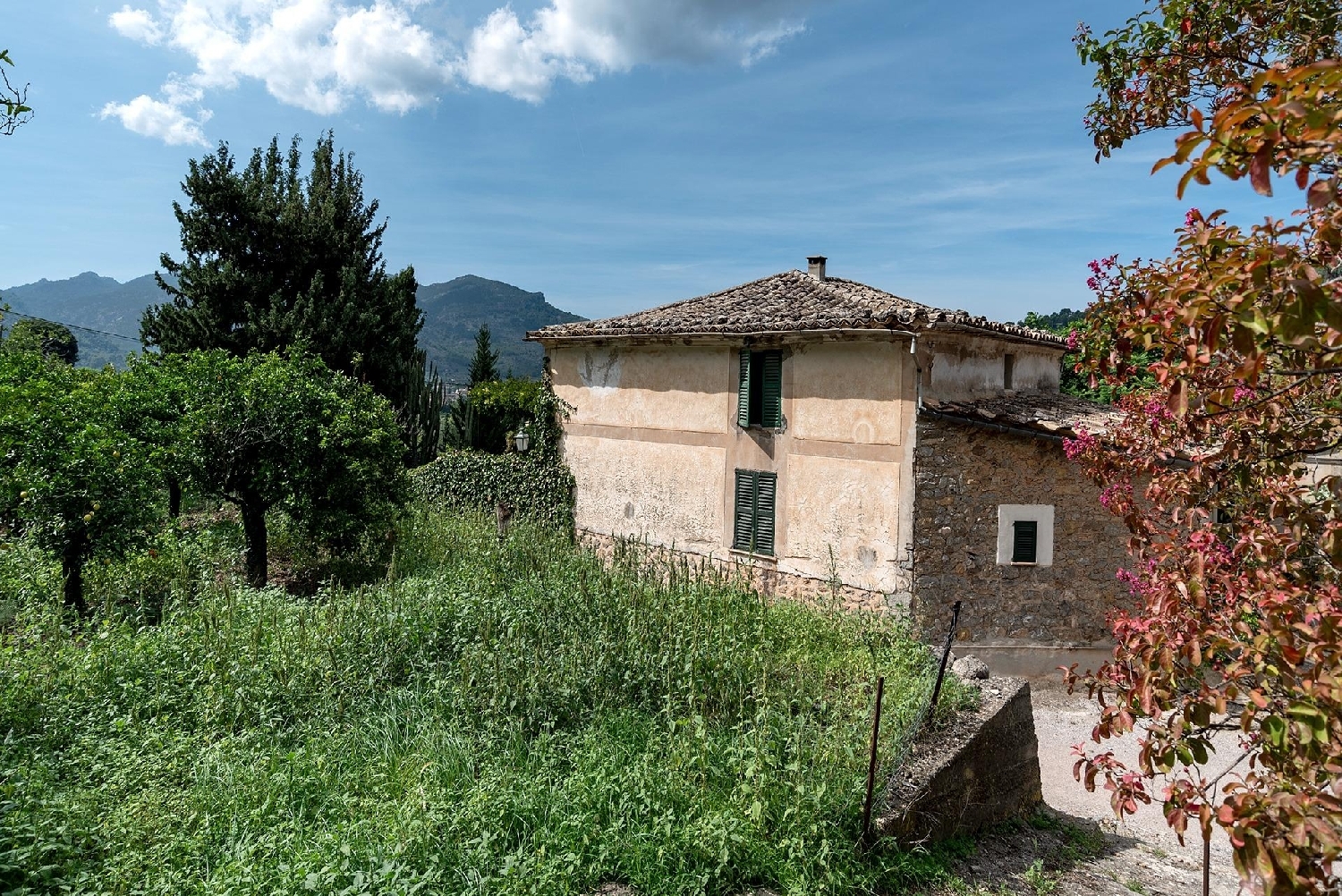  till salu villa Fornalutx Tramuntana 4