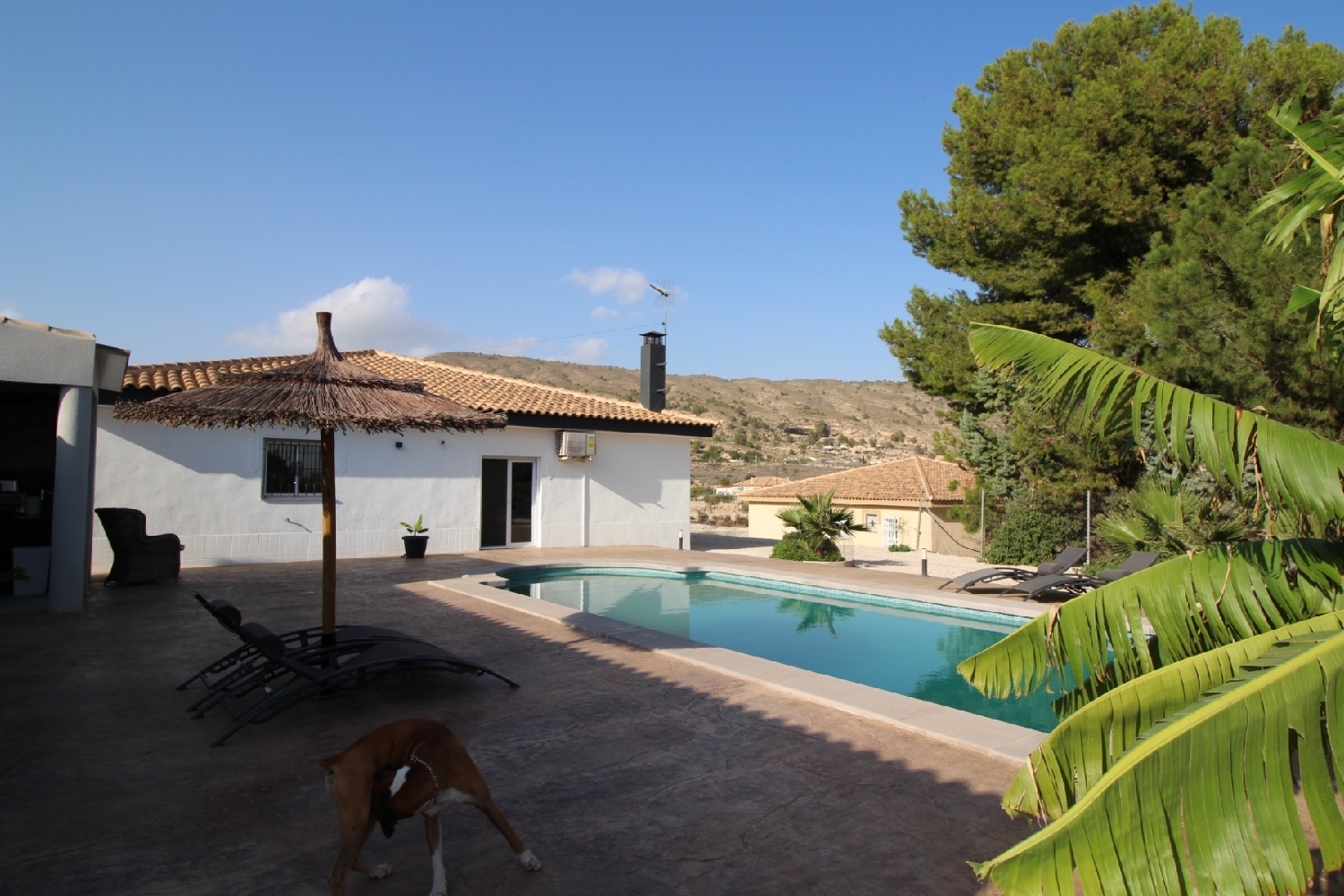  till salu villa Fuente Blanca Oriental 5