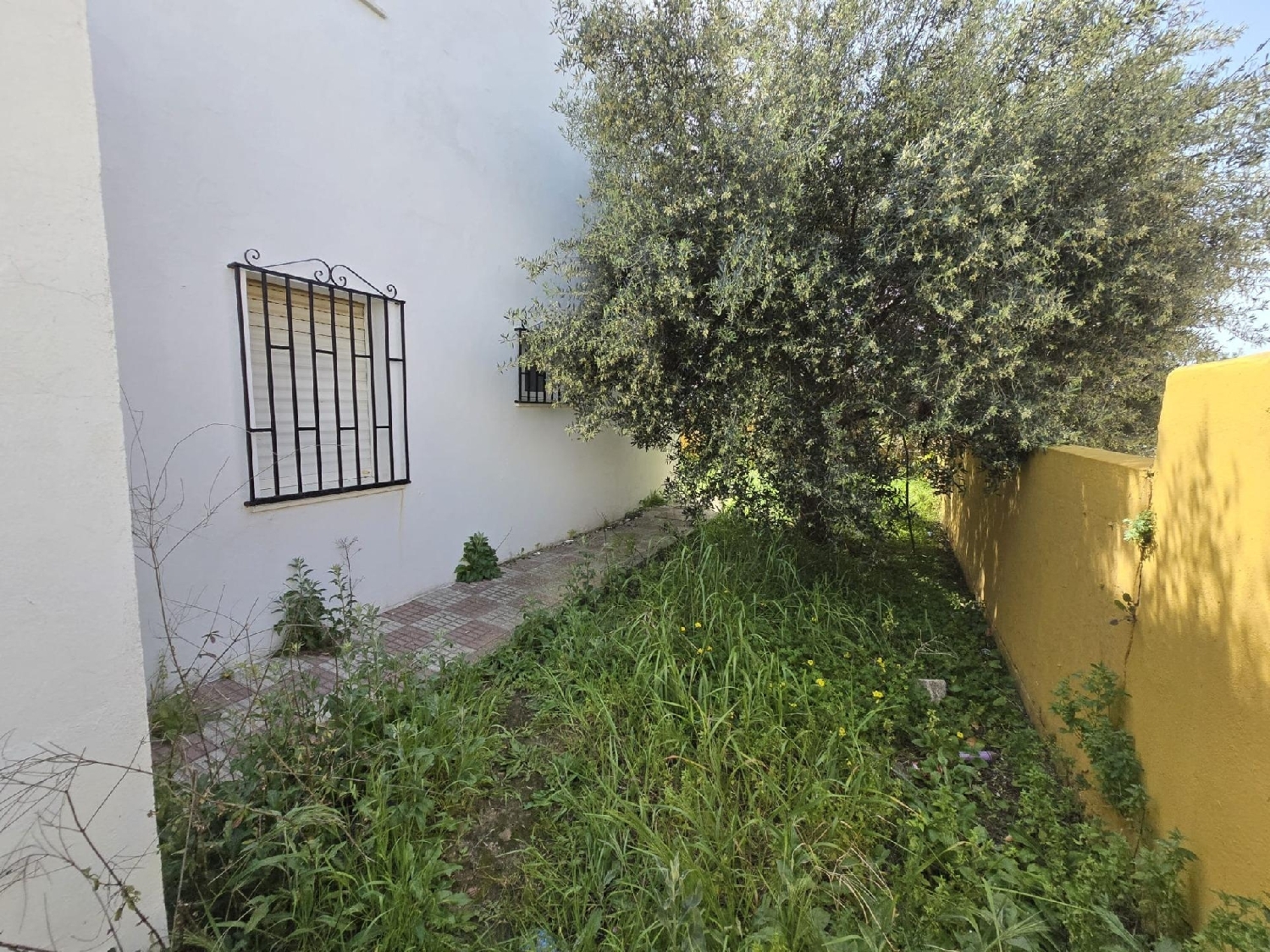  till salu villa Guadacorte Campo De Gibraltar 8