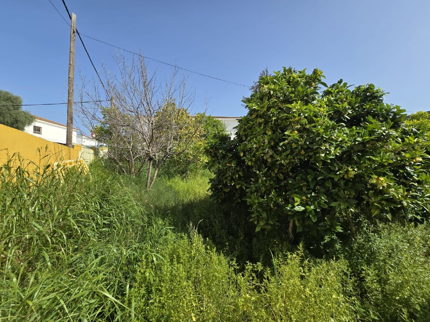  till salu villa Guadacorte Campo De Gibraltar 7