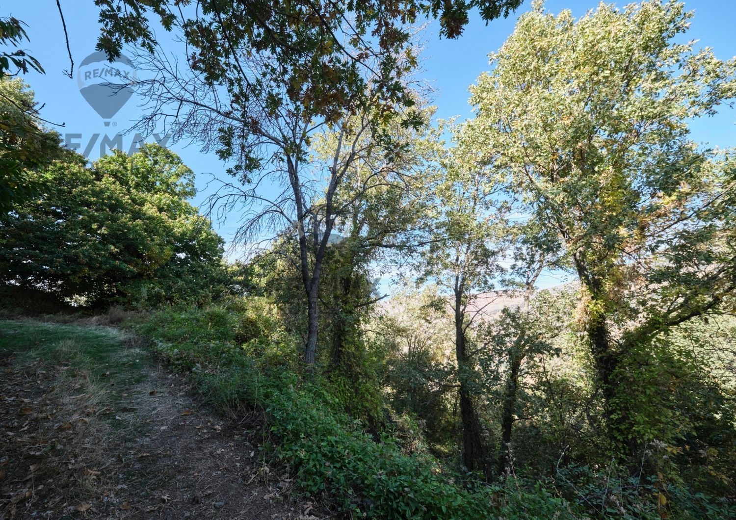 à vendre villa Píñar Montes (Los) 4