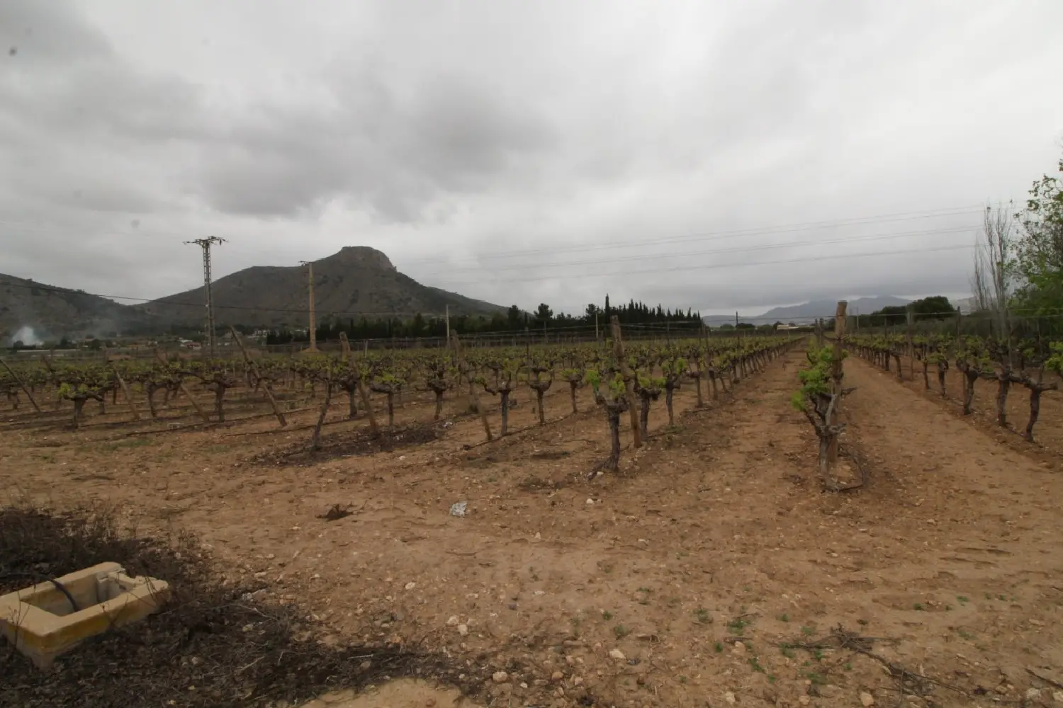  till salu villa Barbarroja Baix Segura 2