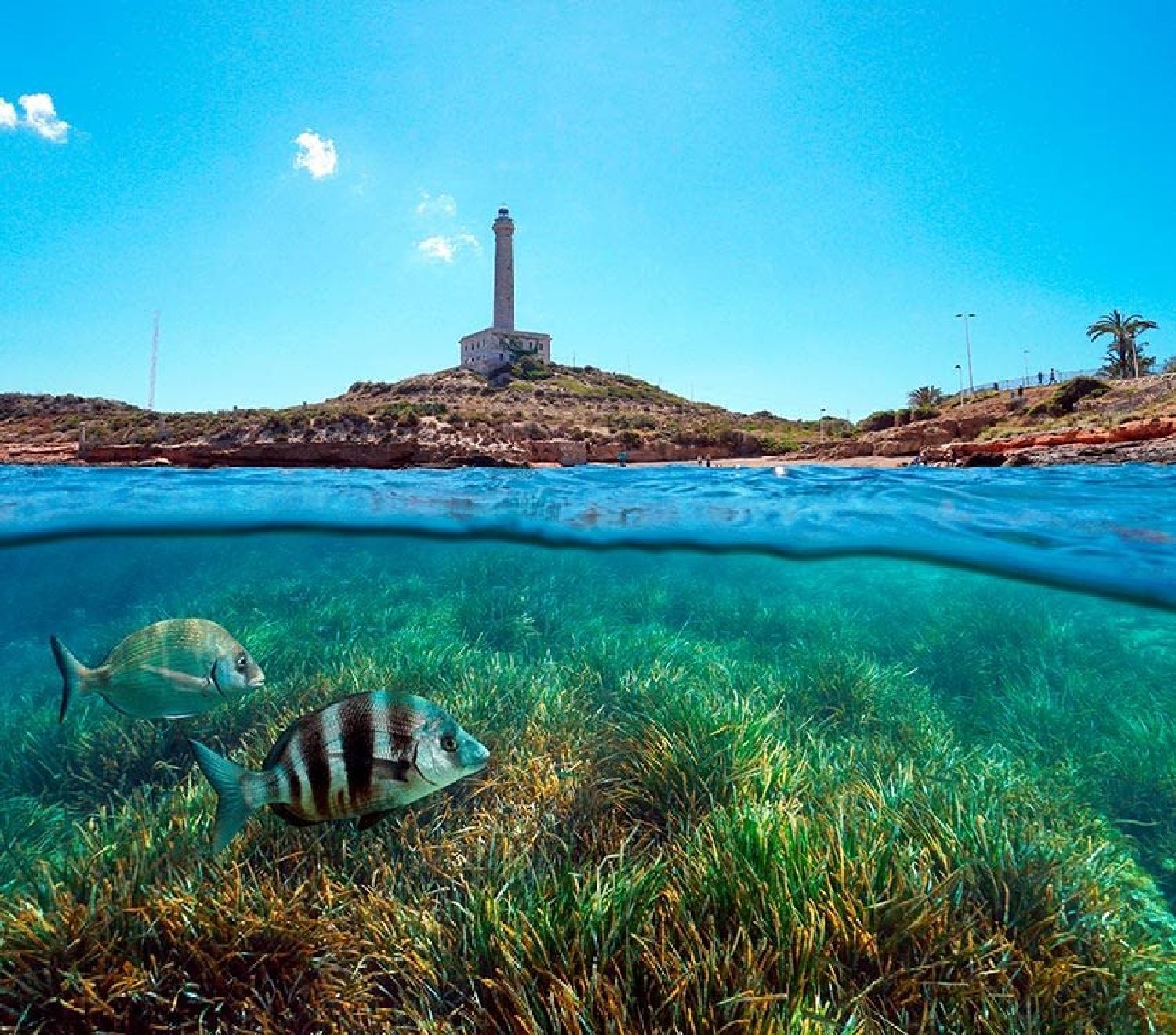  till salu villa Islas Menores Campo De Cartagena 3