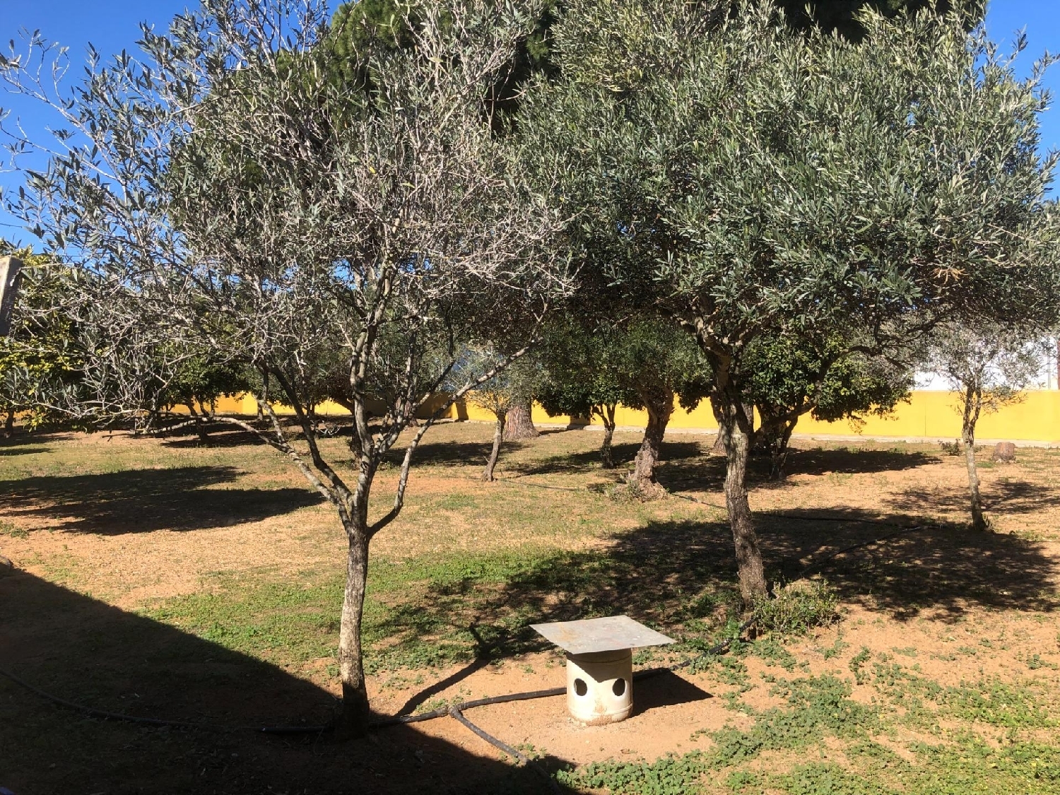  till salu villa La Coquina Bahía De Cádiz 8