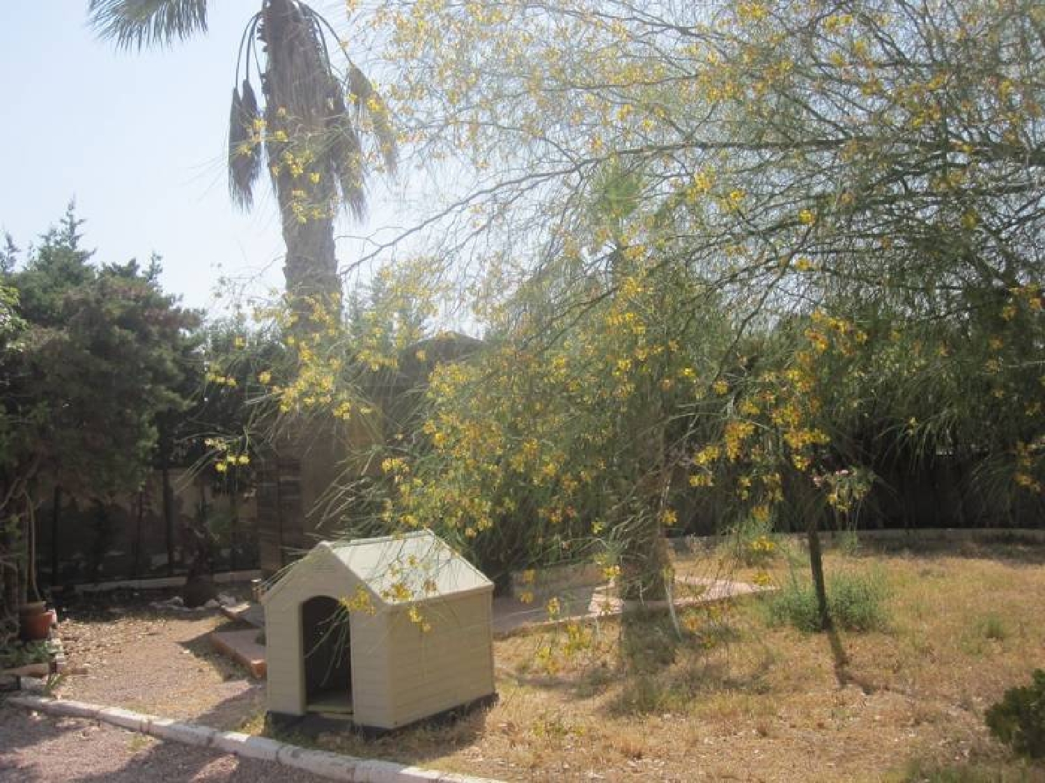  till salu villa Novelda Vinalopó Mitjà 4