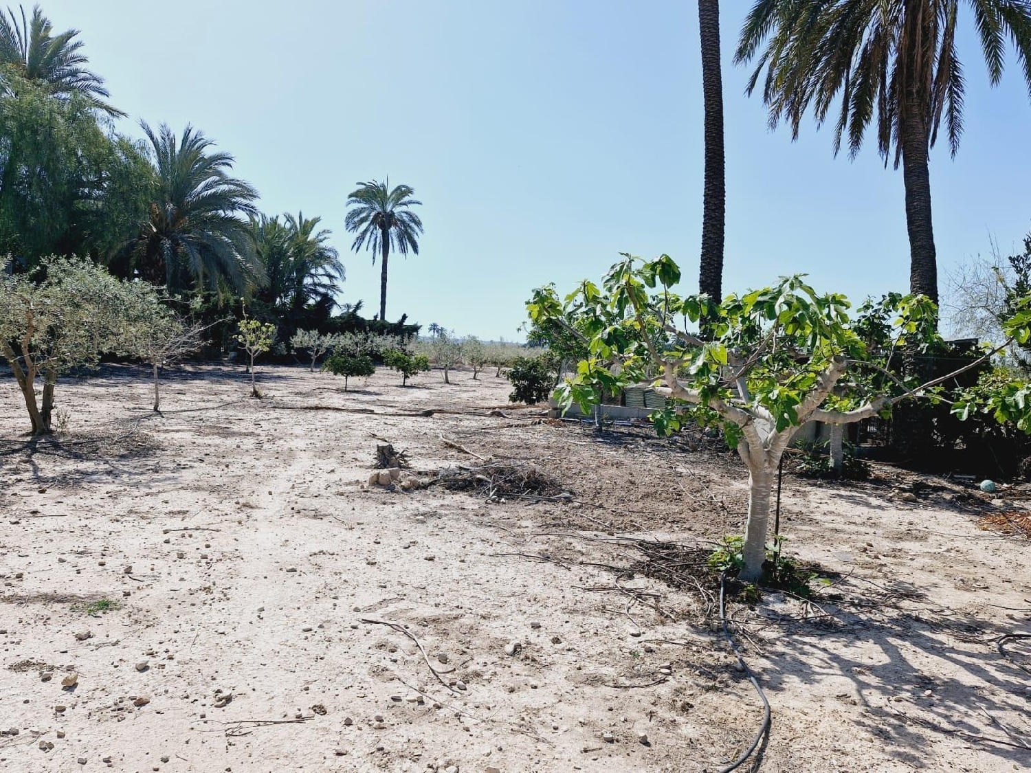  till salu villa La Foia Baix Vinalopó 8