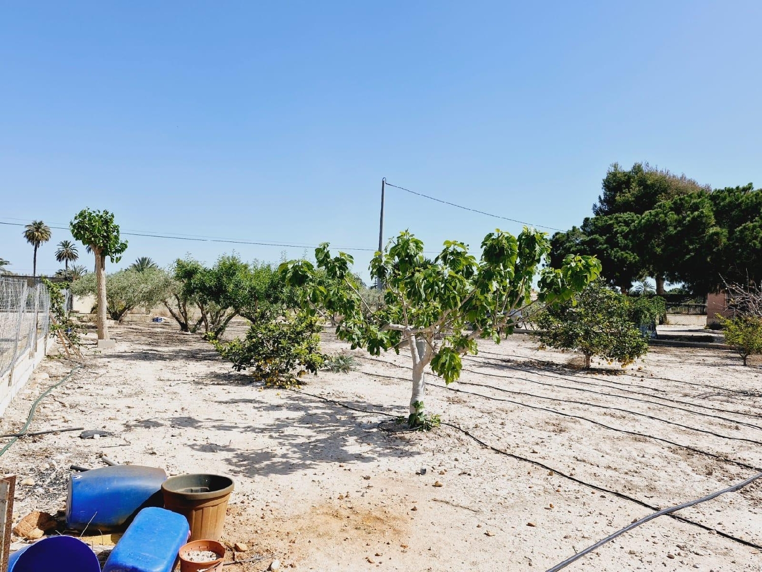  till salu villa La Foia Baix Vinalopó 7