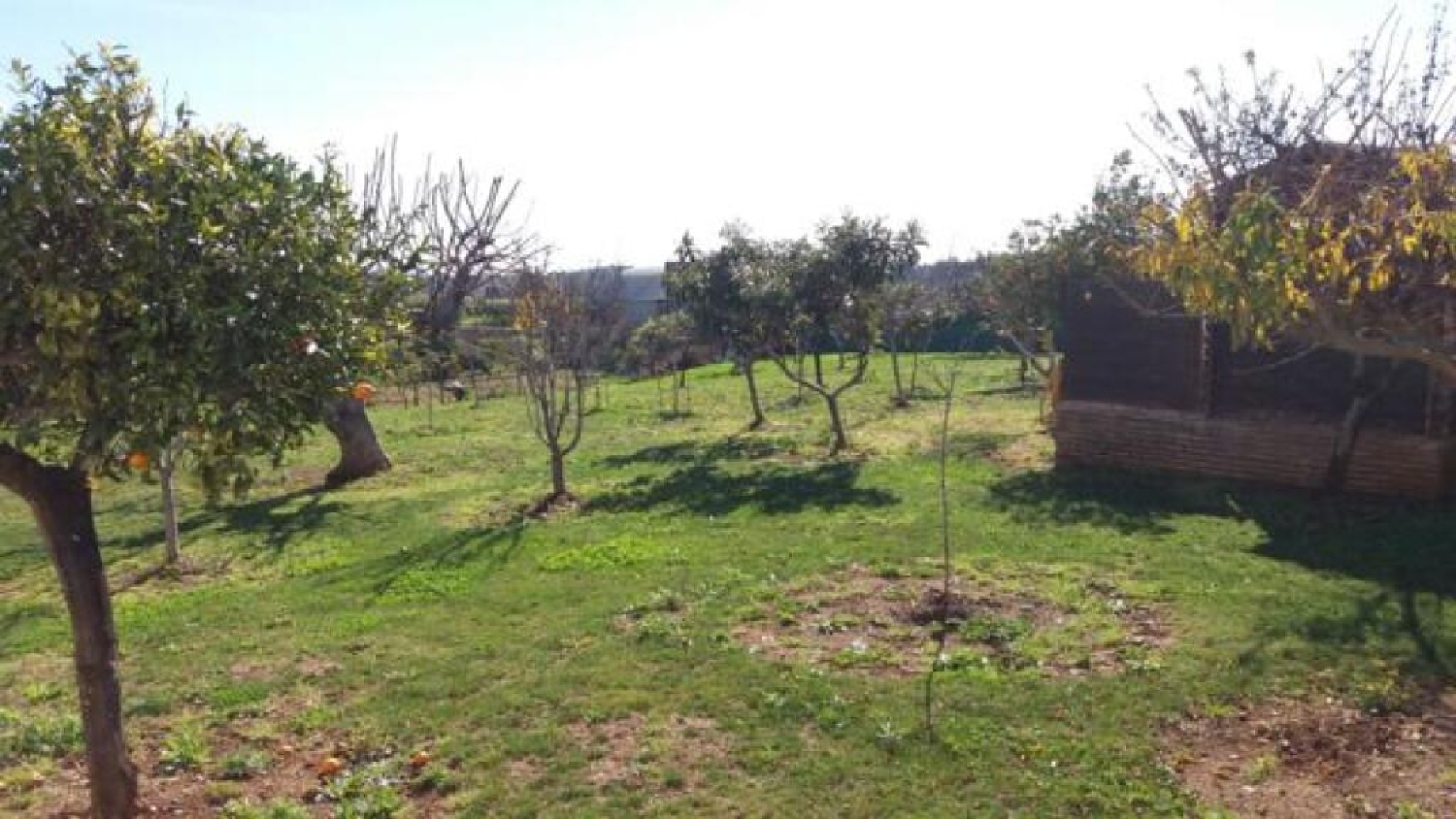  till salu villa Guadalmansa Costa Del Sol Occidental 8