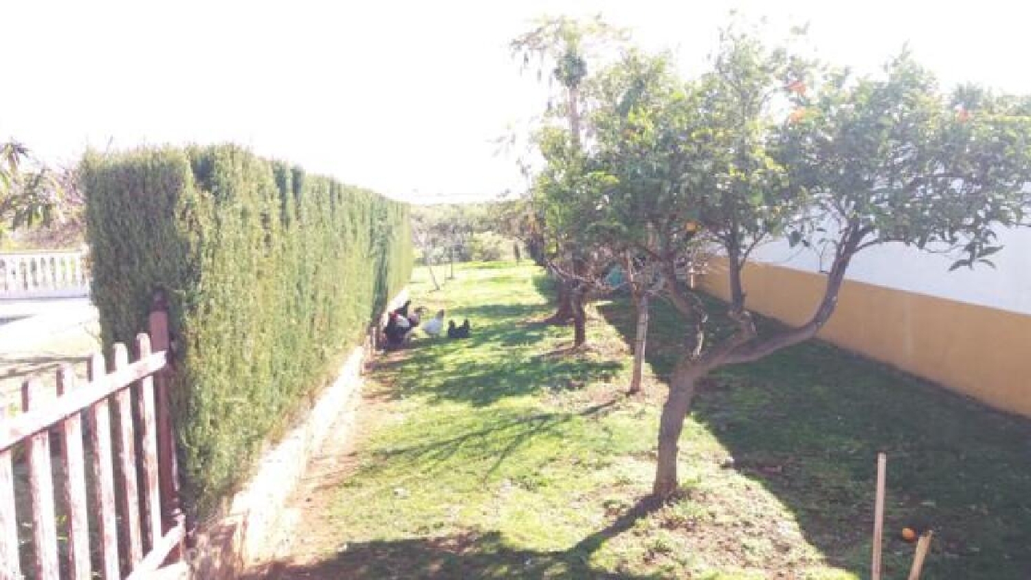  till salu villa Guadalmansa Costa Del Sol Occidental 6
