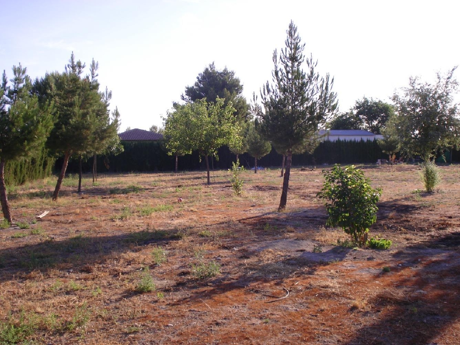 till salu villa La Milagrosa-La Estrella Llanos De Albacete 2