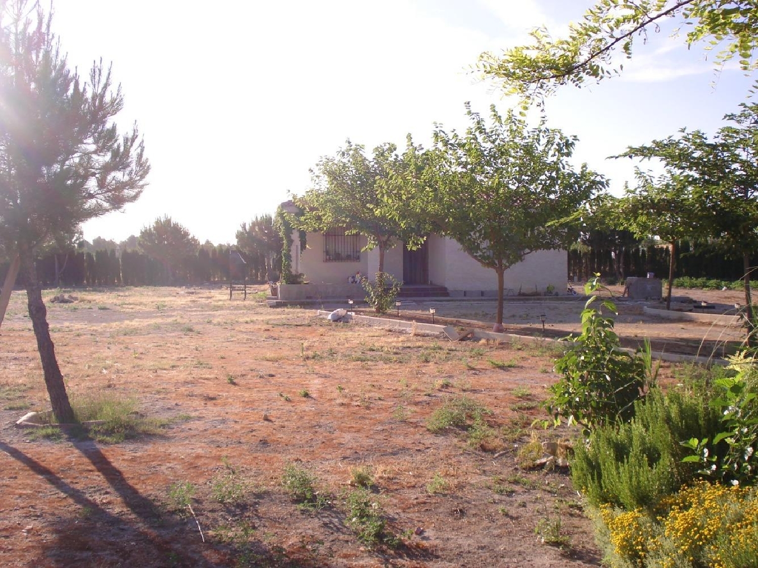 till salu villa La Milagrosa-La Estrella Llanos De Albacete 3