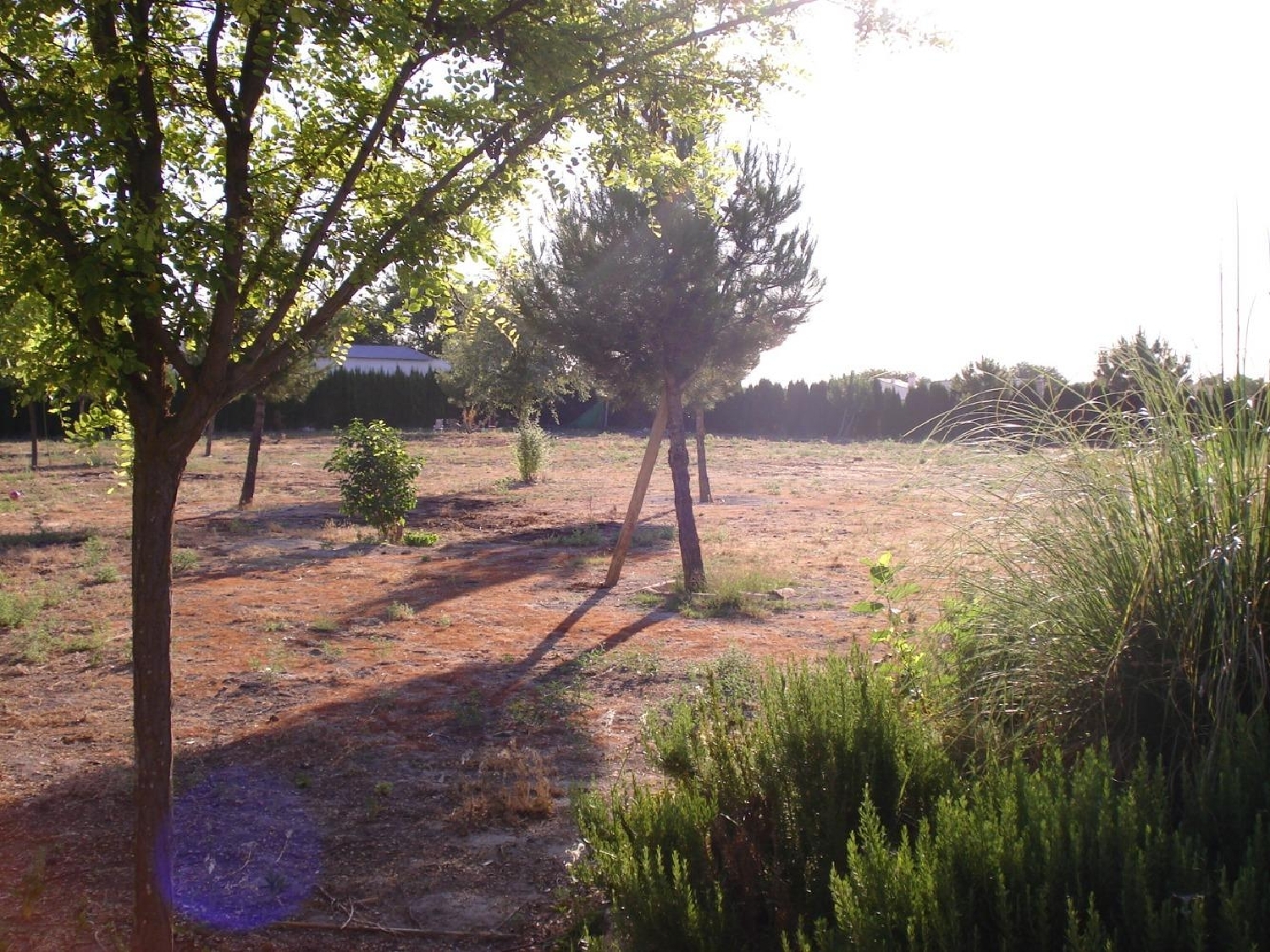  till salu villa La Milagrosa-La Estrella Llanos De Albacete 4