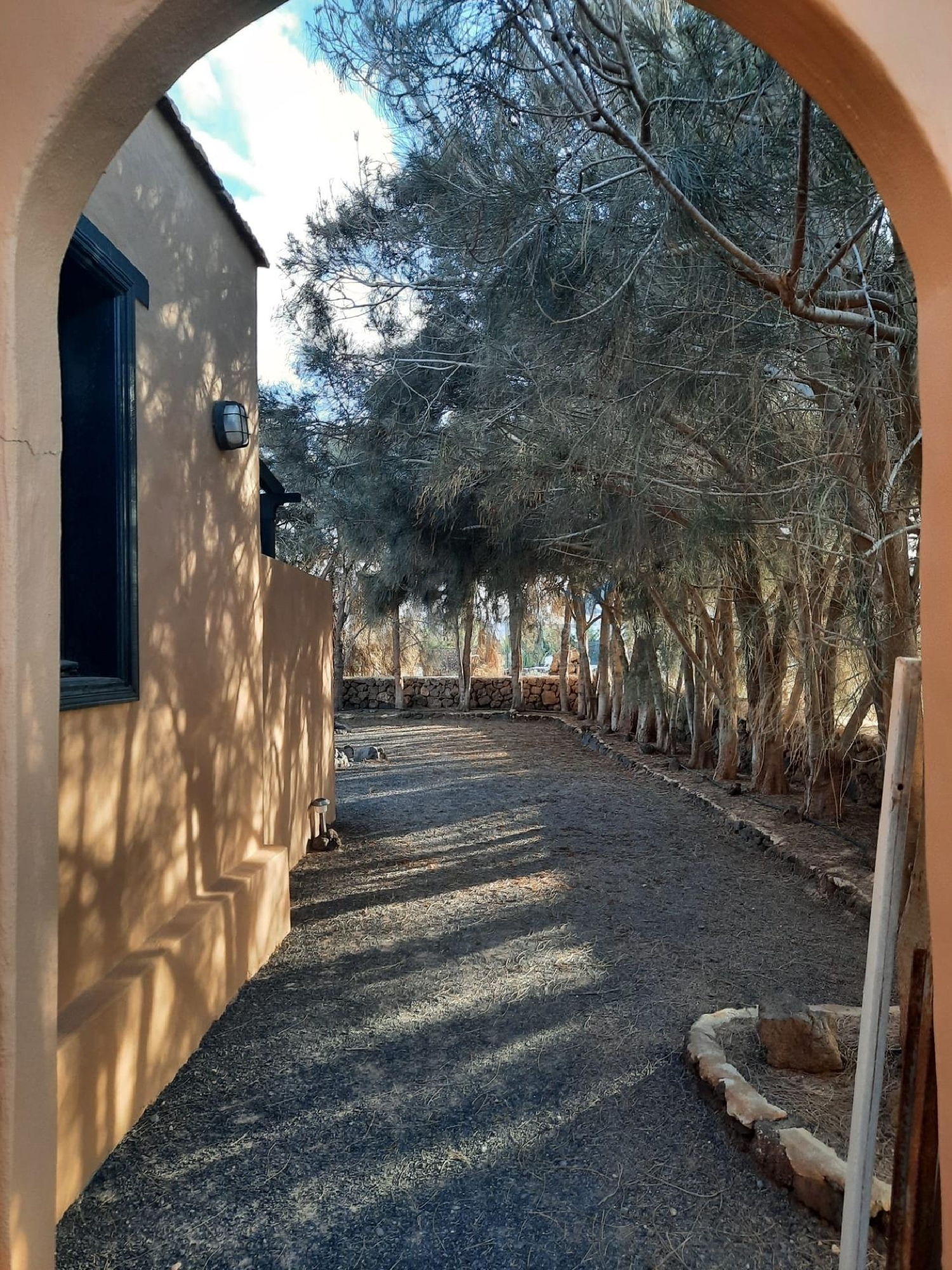  till salu villa Lajares Oliva (La) 7