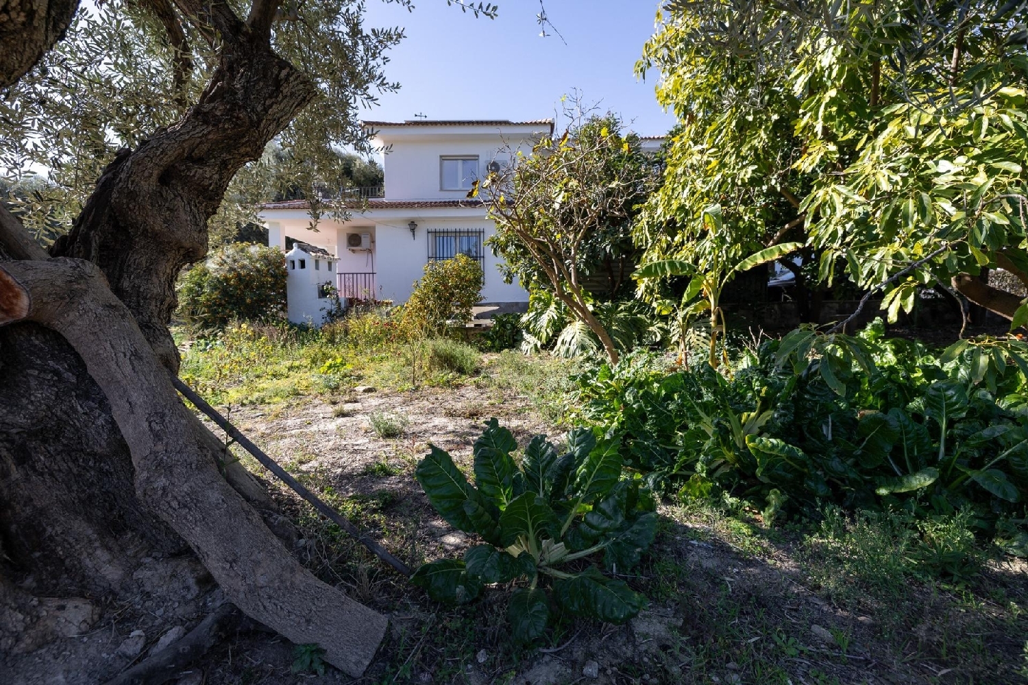  till salu villa Los Tablones Alpujarra Granadina 8