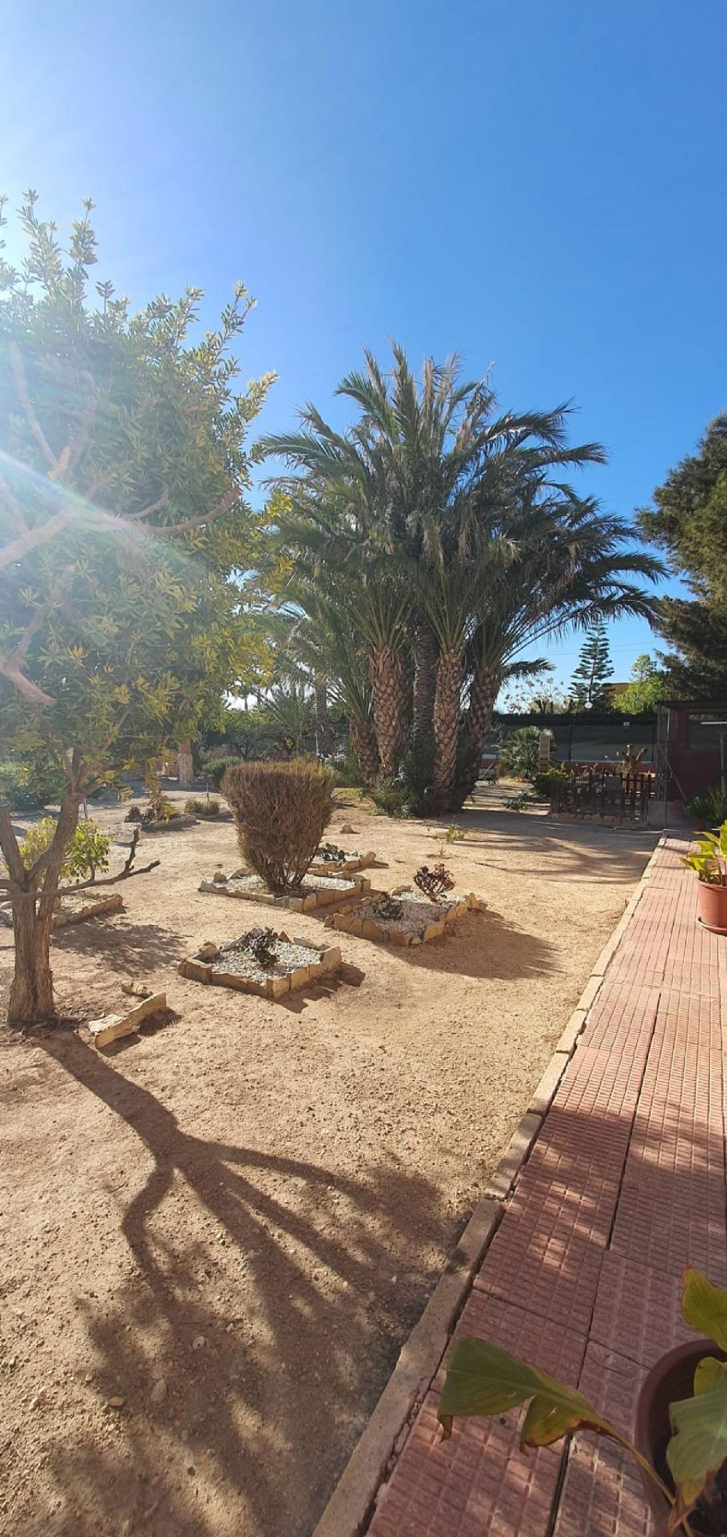  till salu villa Las Bayas Baix Vinalopó 8