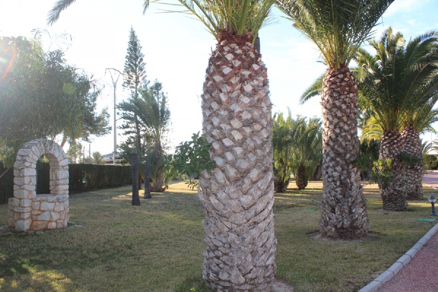 till salu villa Las Lomas Baix Vinalopó 3